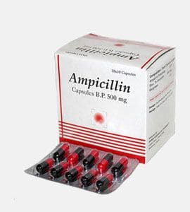 Ampicilin (Penicillin)